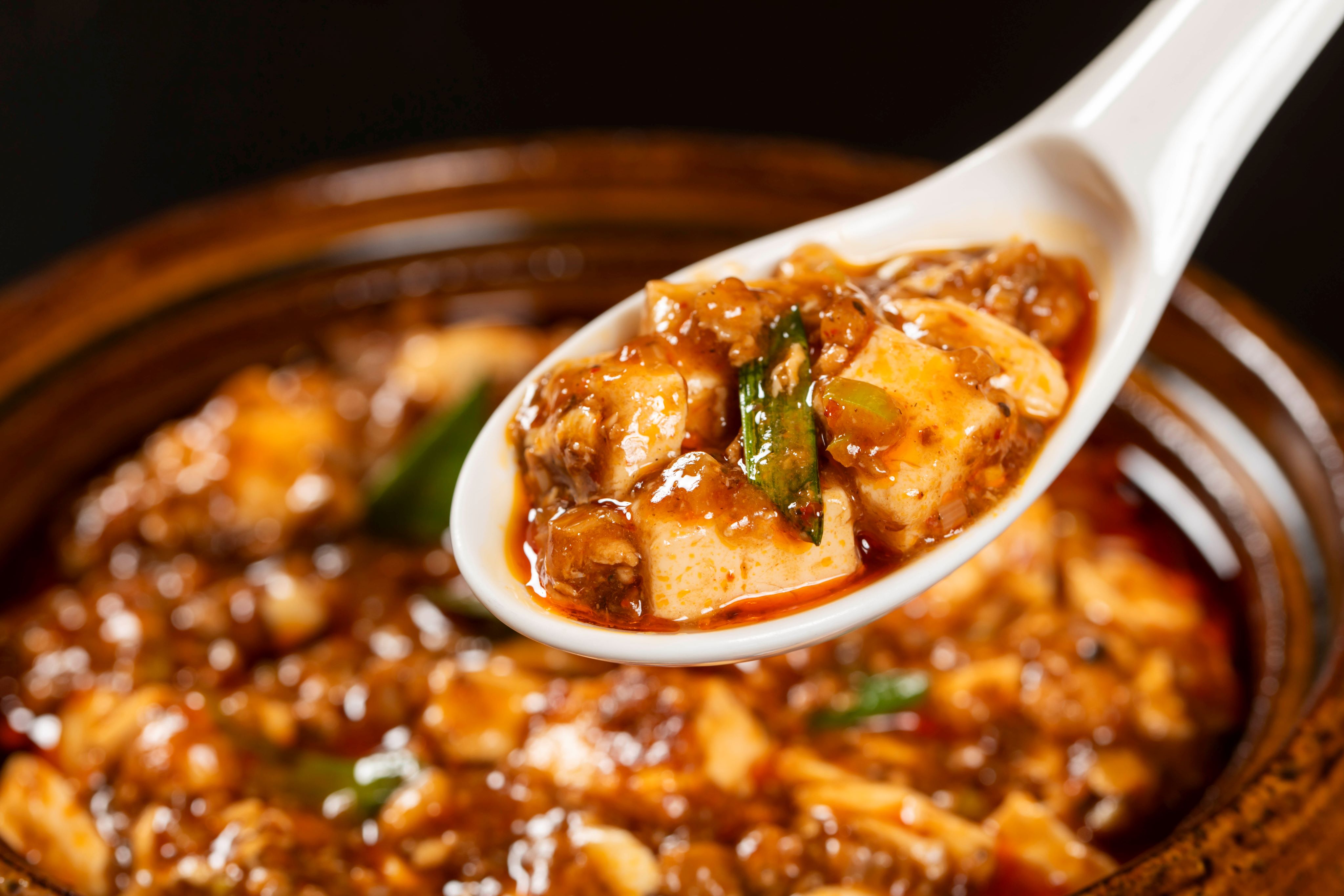 激辛麻婆豆腐　月替わり