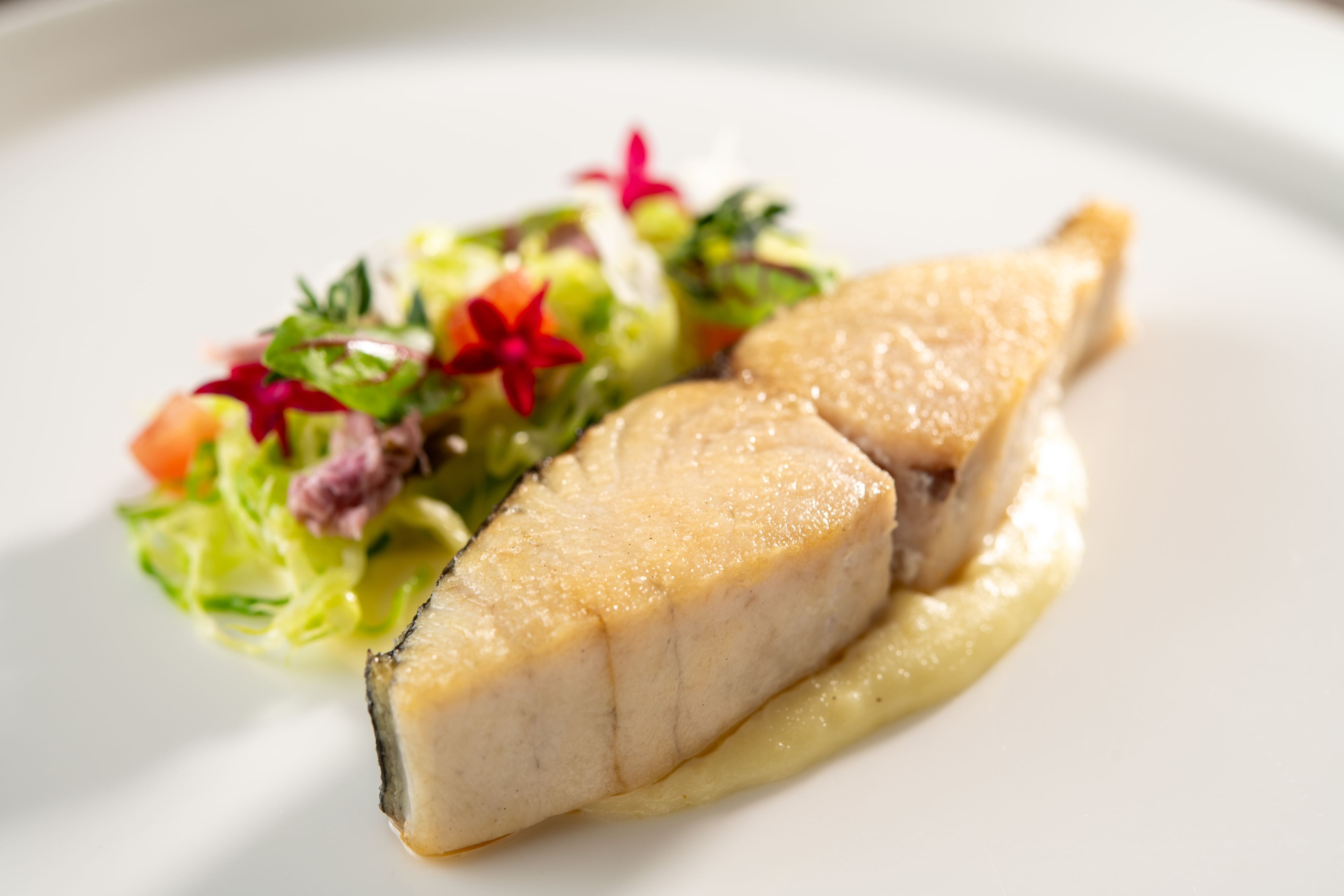 鰆のソテー～春香るSAKURAクリームソース～